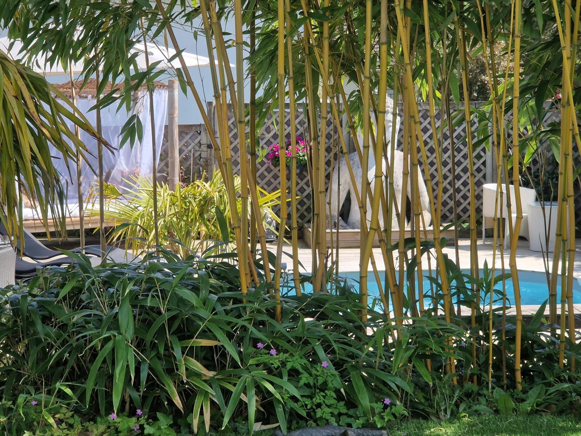 La Serenite Balinaise, Chambre Et Sdb Privee, Jardin , Piscine Et Jacuzzi En Saison, Pres De Chantilly, Parc Asterix Et Cdg Et Paris En 20' Orry-La-Ville Dış mekan fotoğraf